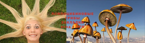 винт Гусиноозёрск