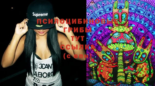 винт Гусиноозёрск