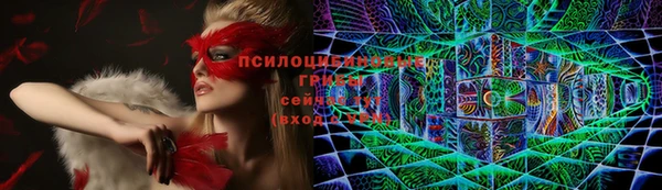 спайс Гусев