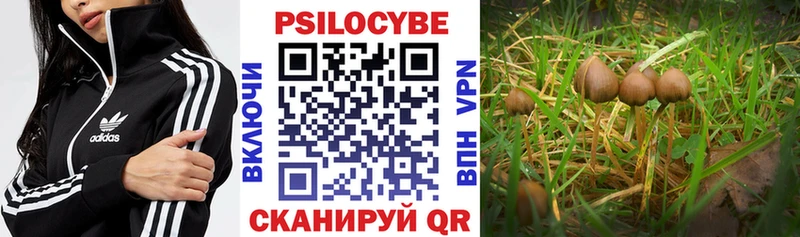 Галлюциногенные грибы Magic Shrooms  Купить  Шагонар 